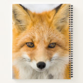 Red Fox Portrait Notizblock (Rückseite)