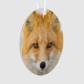 Red Fox Portrait Ornament (Vorderseite)
