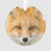 Red Fox Portrait Ornament (Vorderseite)