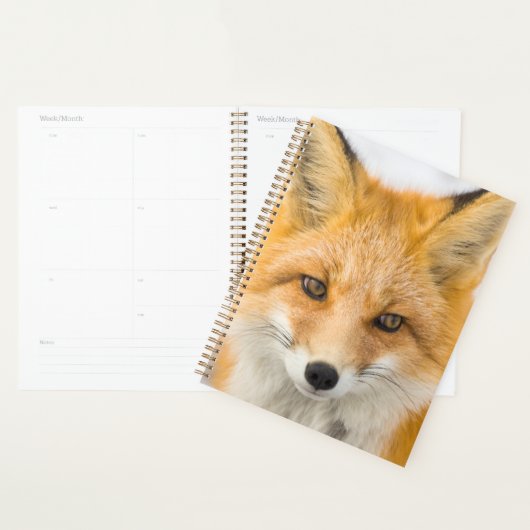 Red Fox Portrait Planer (Anzeige)