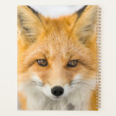 Red Fox Portrait Planer (Rückseite)