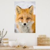 Red Fox Portrait Poster (Küche)