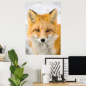 Red Fox Portrait Poster (Heimbüro)