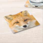 Red Fox Portrait Rechteckiger Pappuntersetzer (angewinkelt)