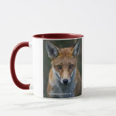 Red Fox Portrait Tasse (Links)