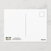 Red Fox POSTCARD Postkarte (Rückseite)