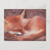Red Fox POSTCARD Postkarte (Vorderseite)