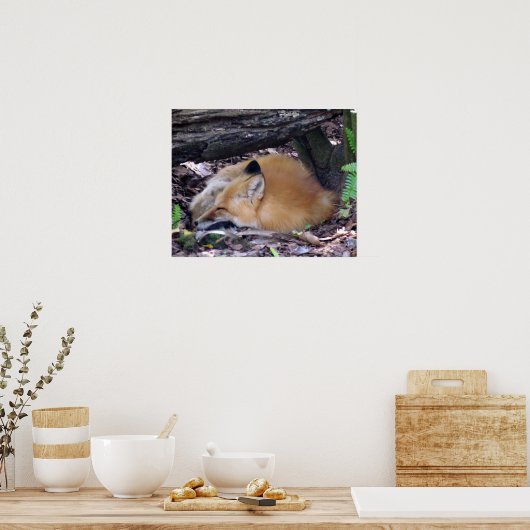 Red Fox Poster (Küche)