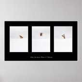 Red Fox Poster (Vorne)