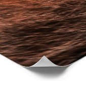 Red Fox Poster (Ecke)