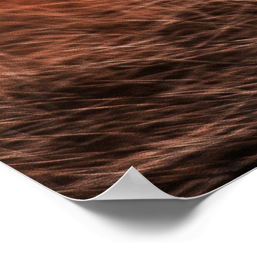 Red Fox Poster (Ecke)