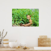 Red Fox Poster (Küche)