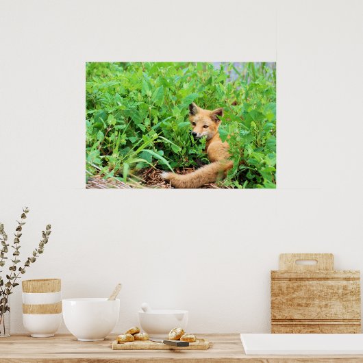 Red Fox Poster (Küche)