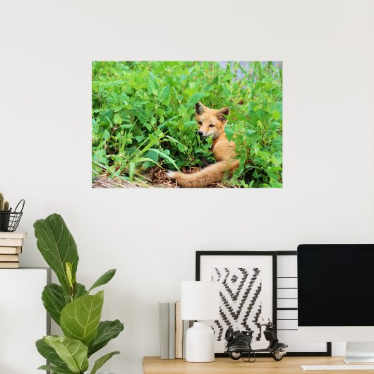 Red Fox Poster (Heimbüro)