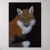 Red Fox Poster (Vorne)