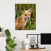 Red Fox Poster (Heimbüro)