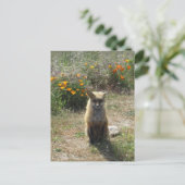 Red Fox Postkarte (Stehend Vorderseite)