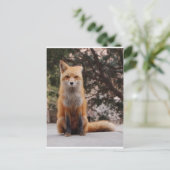 Red Fox Postkarte (Stehend Vorderseite)