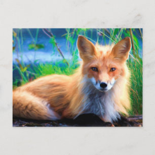 Red Fox Postkarte