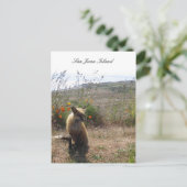 Red Fox Postkarte (Stehend Vorderseite)