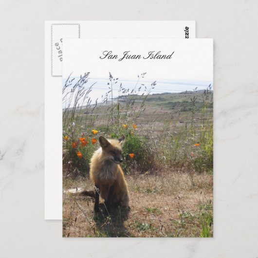 Red Fox Postkarte (Vorne/Hinten)