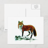 Red Fox Postkarte (Vorne/Hinten)
