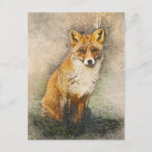 Red Fox Postkarte