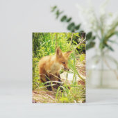 Red Fox Postkarte (Stehend Vorderseite)