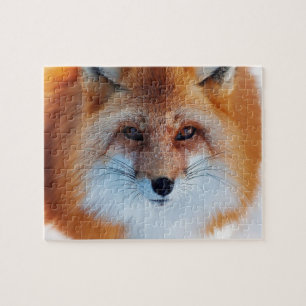 Red Fox Puzzle