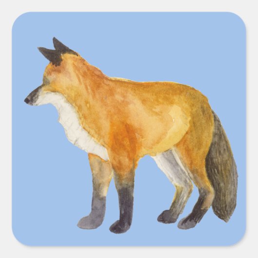 Red Fox Quadratischer Aufkleber (Vorderseite)