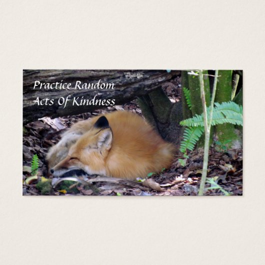 Red Fox Random Acts of Kindness Card (Vorderseite)