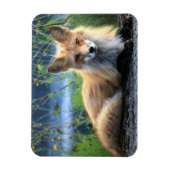 Red Fox Resting Magnet (Vertikal)