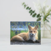 Red Fox Resting Postkarte (Stehend Vorderseite)