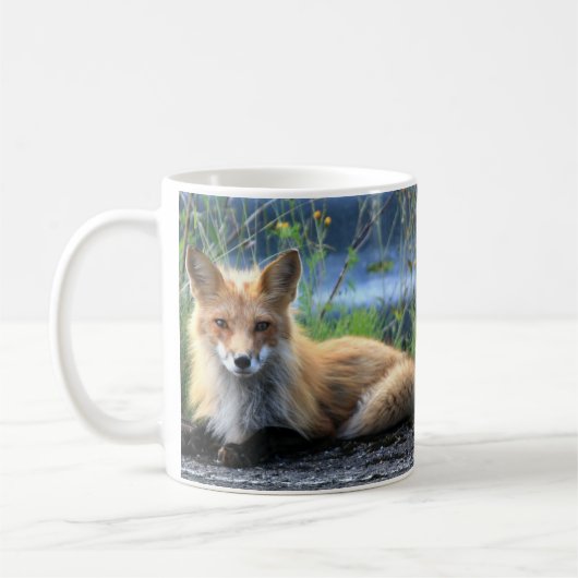 Red Fox Resting Tasse (Links)