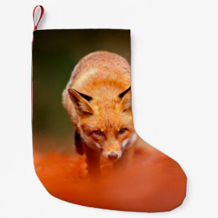 Red fox running on orange autumn leaves. Cute Red  Kleiner Weihnachtsstrumpf