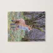 Red Fox schauen nach Jigsaw Puzzle (Horizontal)