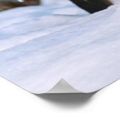 Red Fox | Schnee im Winter, Montana Poster (Ecke)