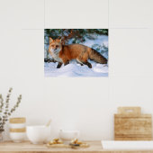 Red Fox | Schnee im Winter, Montana Poster (Küche)