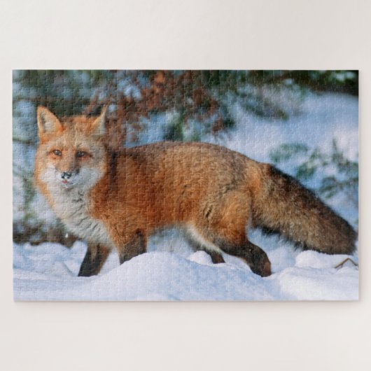 Red Fox | Schnee im Winter, Montana Puzzle (Horizontal)