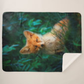 Red Fox Sherpadecke (Vorderseite (Horizontal))