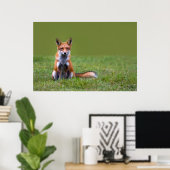 Red Fox Sitting Poster (Heimbüro)