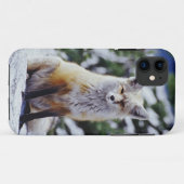 Red Fox sitzend auf der Schneebrücke, Vulpes, Mt. Case-Mate iPhone Hülle (Rückseite (Horizontal))