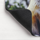 Red Fox sitzend auf der Schneebrücke, Vulpes, Mt. Mousepad (Ecke)