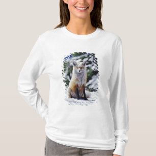 Red Fox sitzend auf der Schneebrücke, Vulpes, Mt. T-Shirt