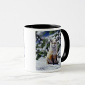 Red Fox sitzend auf der Schneebrücke, Vulpes, Mt. Tasse (VorderseiteRechts)