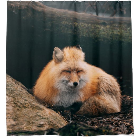 Red Fox Sleeping Duschvorhang (Vorderseite)