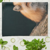 Red Fox Sleeping Geschirrtuch (Gefaltet)