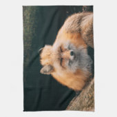 Red Fox Sleeping Geschirrtuch (Vertikal)