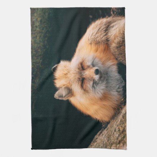 Red Fox Sleeping Geschirrtuch (Vertikal)