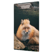 Red Fox Sleeping Klemmbrett (Links)